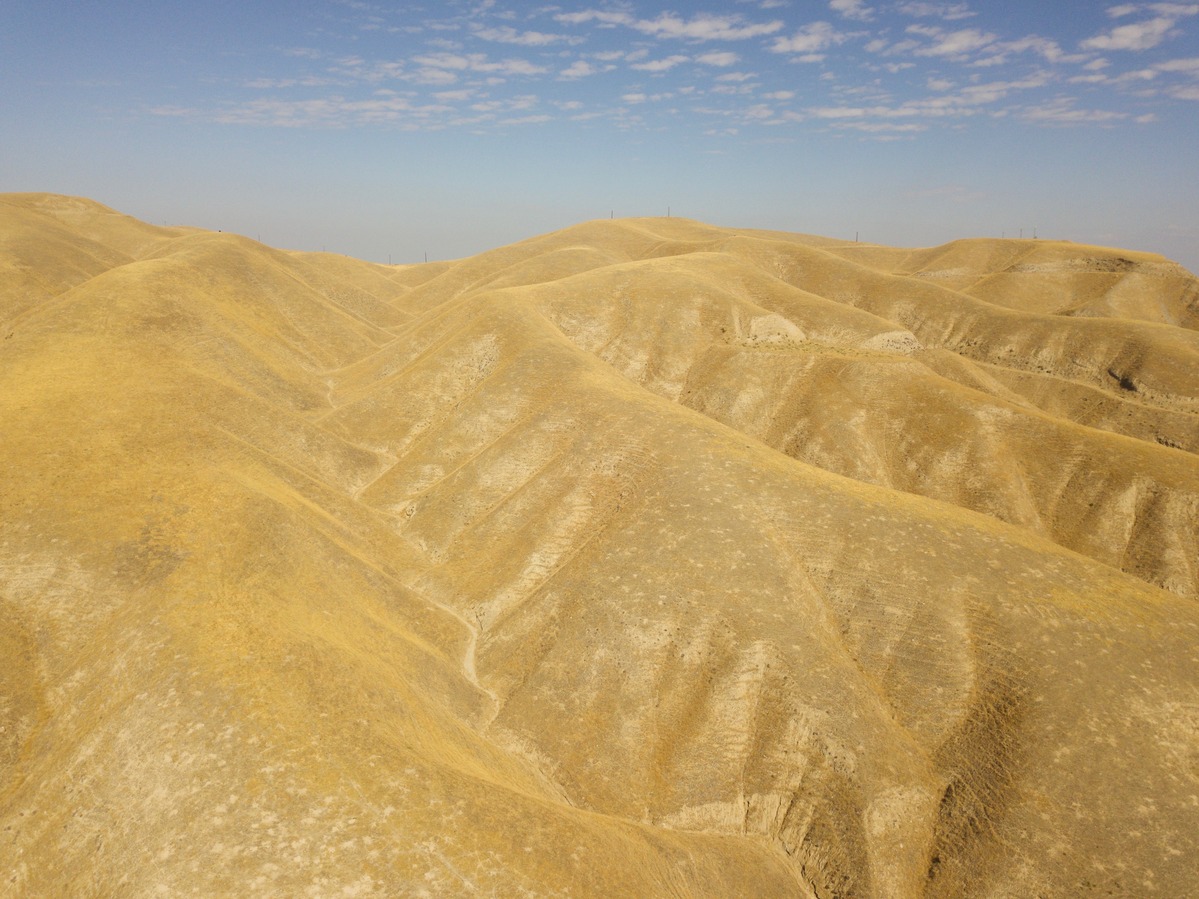 View North from 120 m above the point