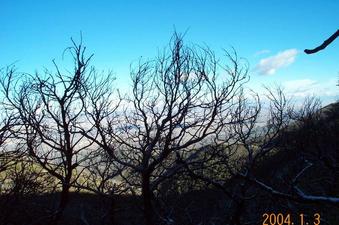 #1: Easterly View at the confluence