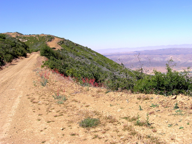 Sierra Madre Road (just west of the confluence point), looking north