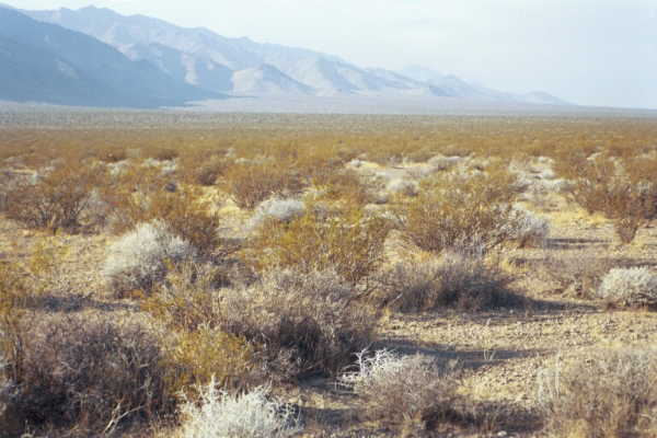 A view from the confluence point.