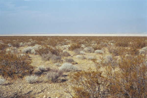 Another view from the confluence point, this time looking
towards Nevada.  Note the dry lake bed in the distance.