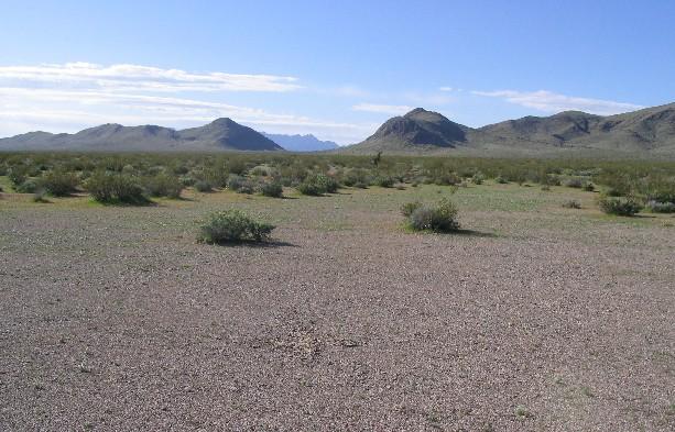 South toward Mesquite Valley