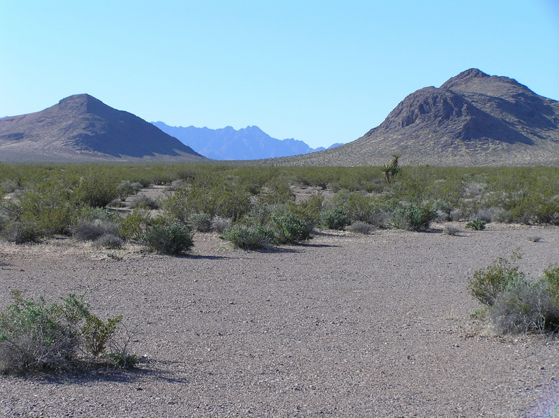 View to the south from the confluence.