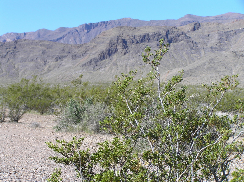 View to the southwest from the confluence.