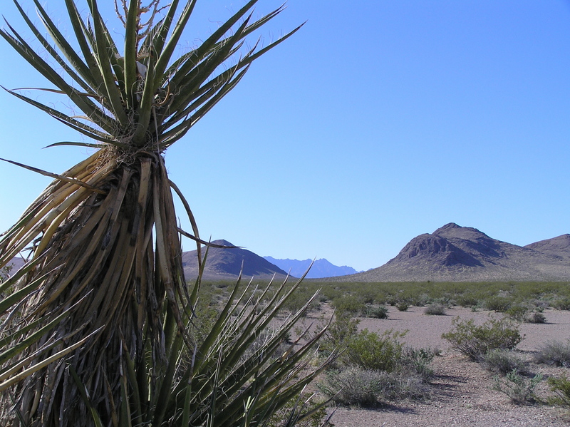 Beautiful view to the south from 60 meters south of the confluence.