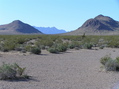 #3: View to the south from the confluence.