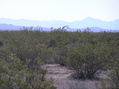 #4: View to the east from the confluence.