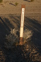 #8: One of several markers along the dirt road. 