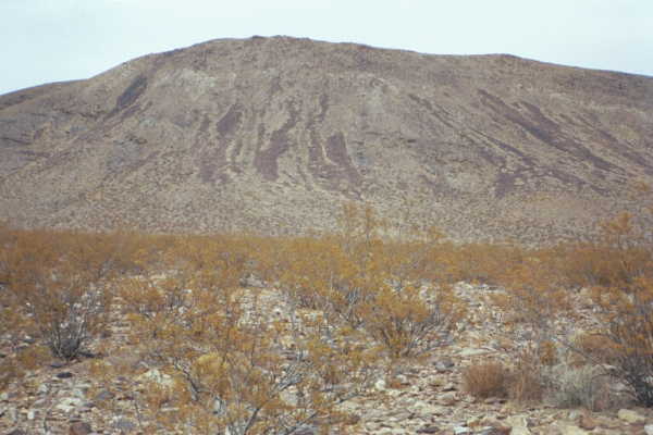 Another view from the confluence point