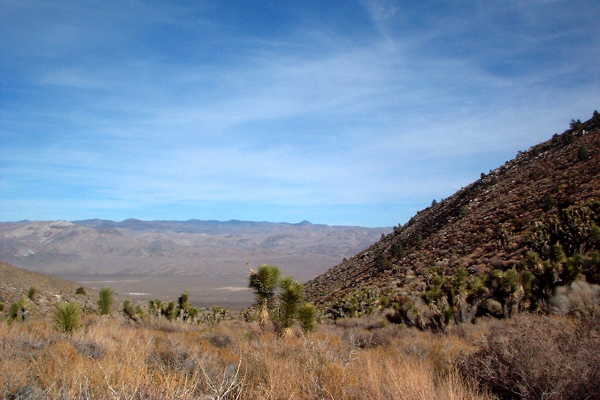 Looking east from the confluence point