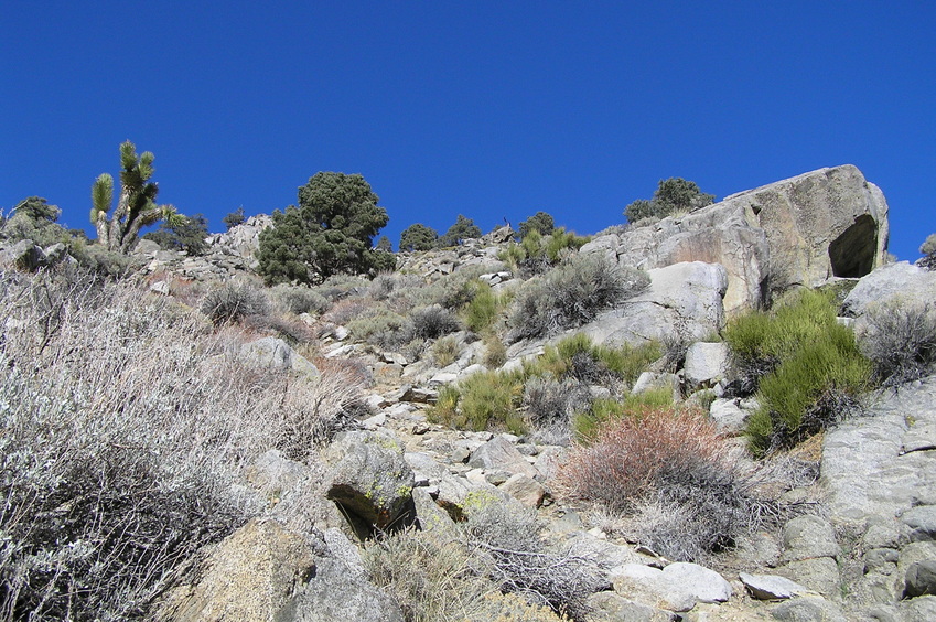 Confluence point in the foreground of this view to the north.