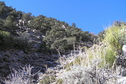 #3: View to the west from the confluence.