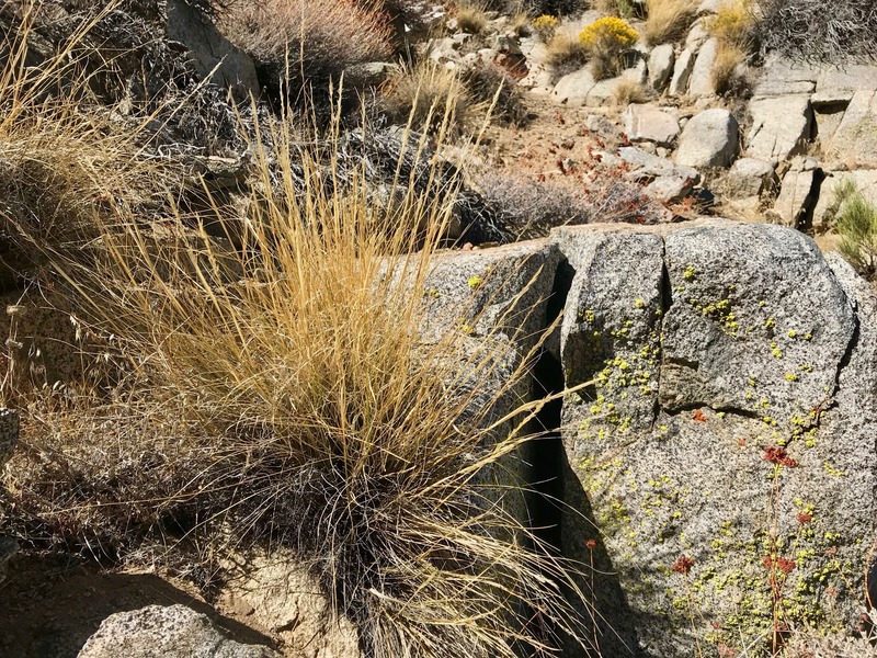 The confluence point lies within a rock-strewn drainage, at almost 6000 feet elevation