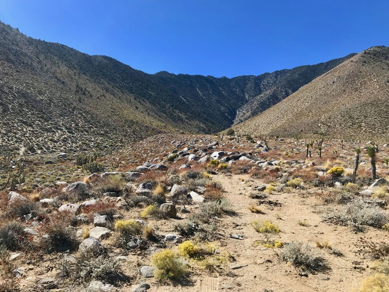 View West towards the point (1.1 miles away) from the end of the dirt road