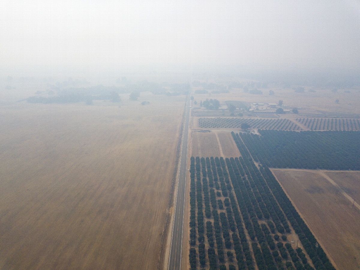 View South, from 120m above the point