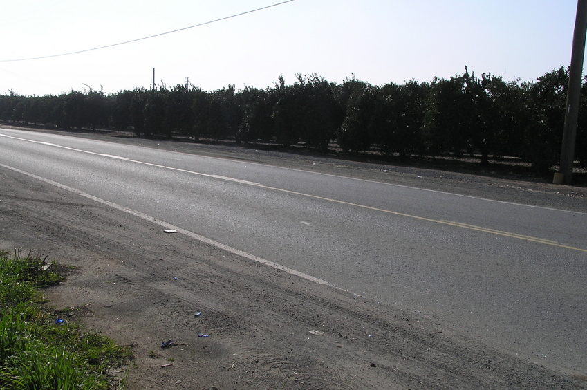 The confluence of 36 North 119 West lies to the front of the trees in the center of this photograph.