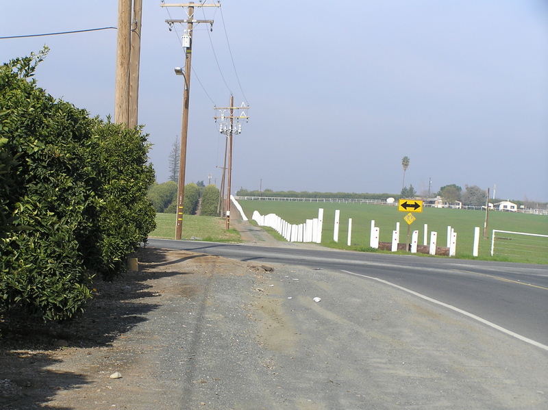 View to the north from the confluence.