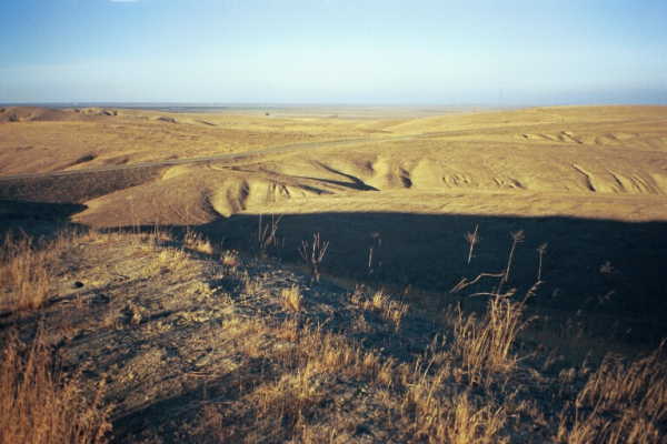 Looking eastwards from the confluence point, in the late afternoon.  The Central Valley is visible in the distance.