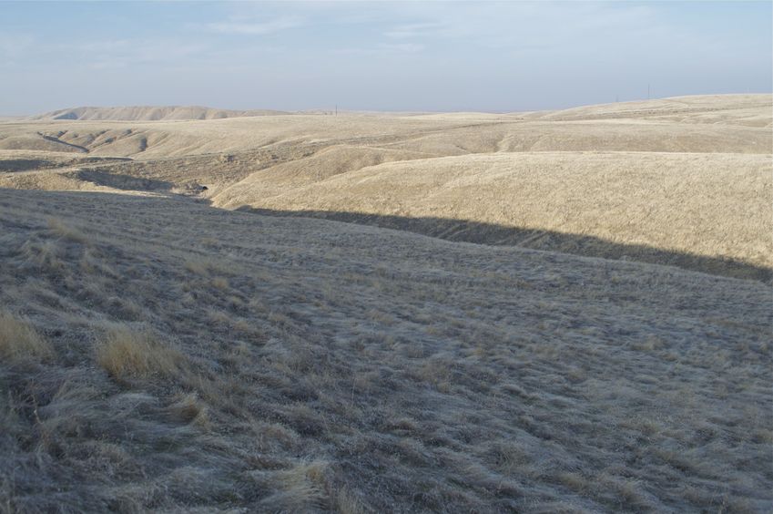 View North (across the paved road that leads to the point).  Interstate 5 (not visible) and the San Joaquin Valley lie in the distance