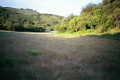 #5: A meadow leading to the confluence point (which is just off the left of this photo)