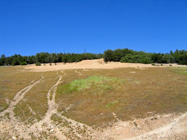 Looking north at trailhead