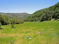 #5: Looking northeast down the meadow