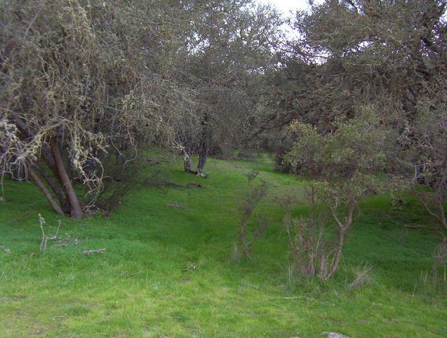 Looking west from the nearby clearing.