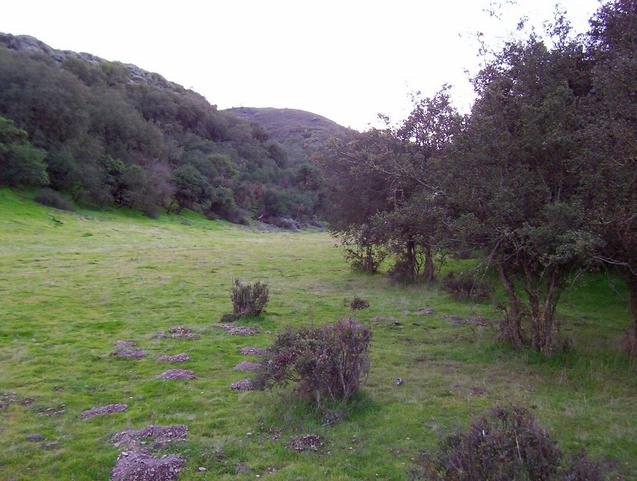 Looking south to the ridge where I began my journey.