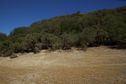 #8: View East from the meadow, 120 feet East of the confluence point