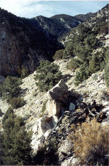 #1: Looking west from the confluence up the narrow side canyon.