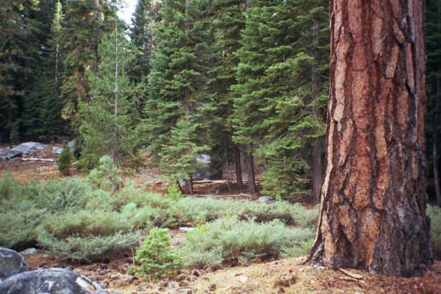 A view from the confluence (panorama #1)