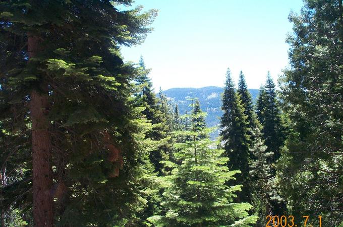 Looking east towards Wishon Reservoir