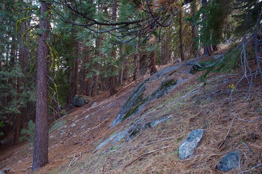 View South (along the hillside)