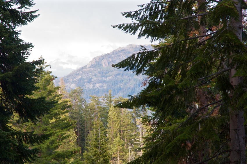 A view of nearby Wishon Reservoir from a clearing near the confluence point