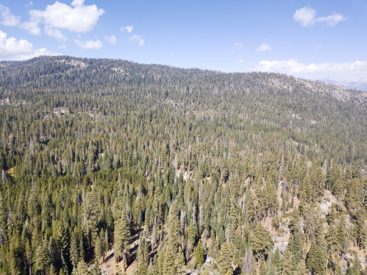 View North, from 120m above the point