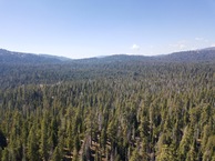 #11: View West, from 120m above the point