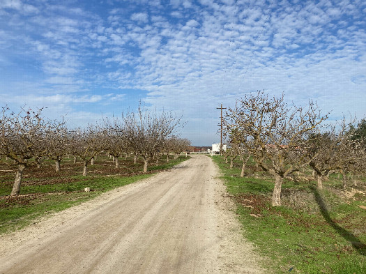 #1: Looking north from the confluence, toward the road