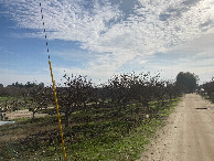 #3: Looking south; the UPS van is visible in the distance