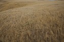 #5: The confluence point lies near a hilltop, in rolling, grassy farmland