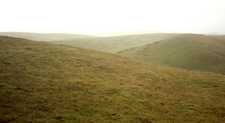 View from the confluence to the west.