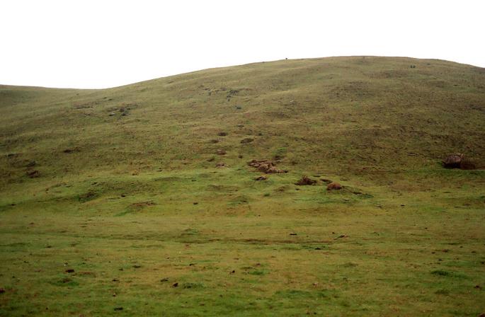 The confluence lies near the top of this hill.