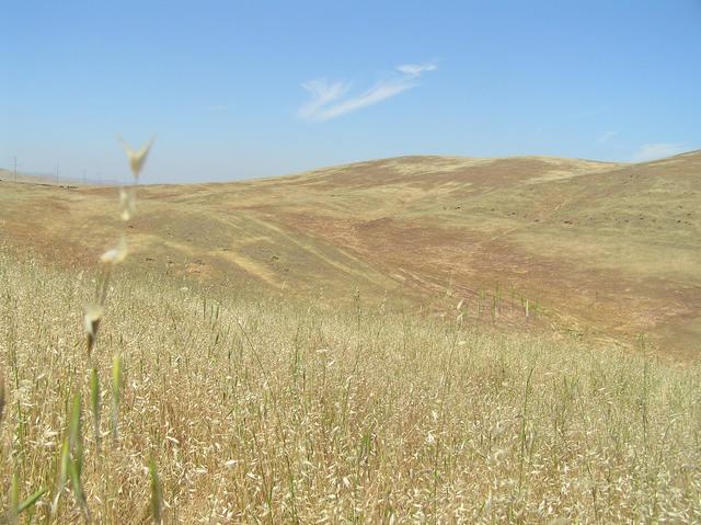 "The golden rolling hills of California" --Folk Singer Kate Wolf.  View to the north from 37 North 121 West.