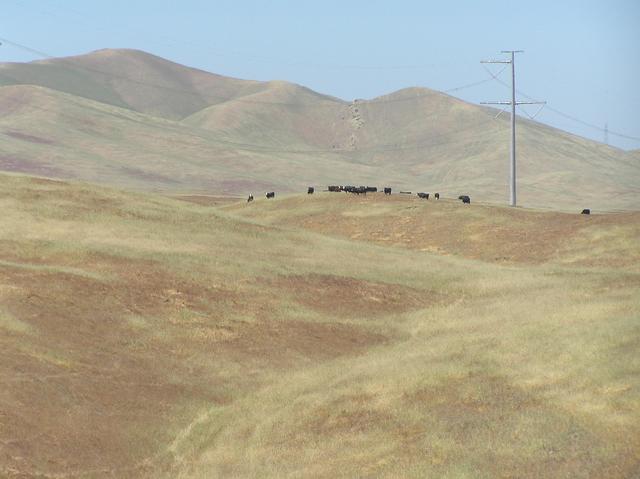 View to the northwest from the confluence.