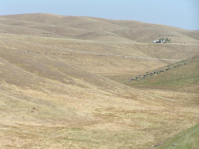 View to the east from the confluence.