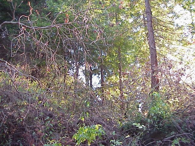 View to the southwest from the confluence.