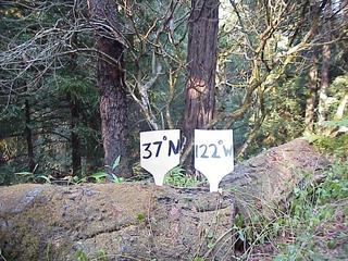 #1: Confluence site in the Coast Range of California, 5 km from the Pacific Ocean, looking north.