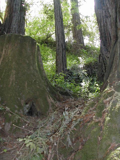 Looking south, up the hill