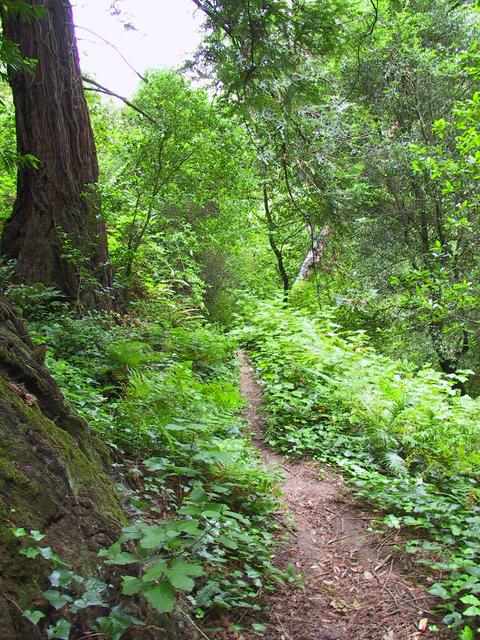 Down the trail.