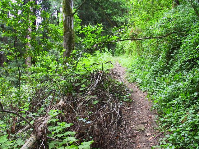 Back up the trail.