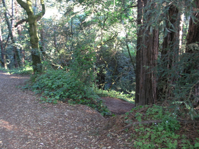 Take the small path down to the right just after leaving the golf course